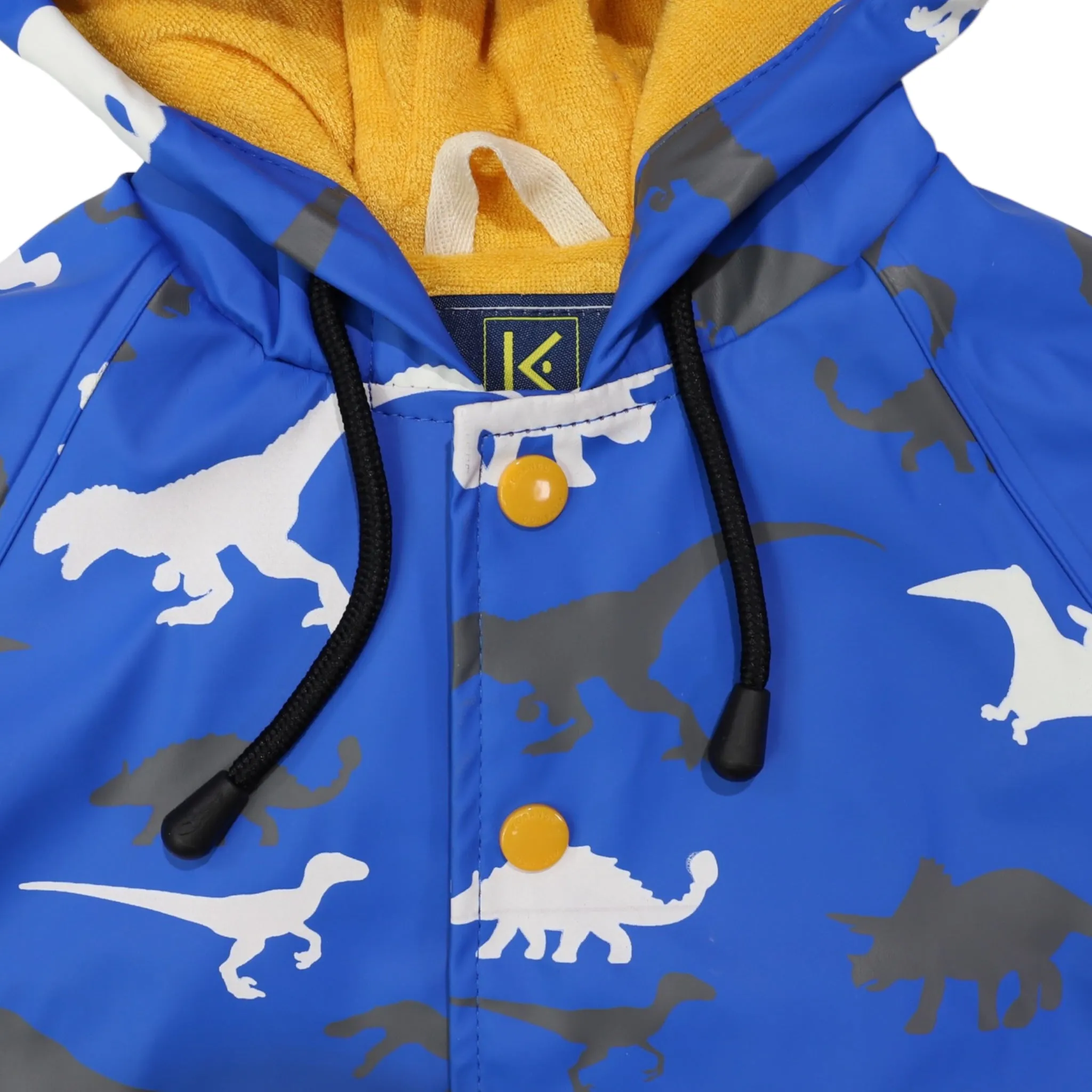 Dinosaur Colour Change Raincoat